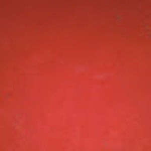 Meet your Posher, Mateo